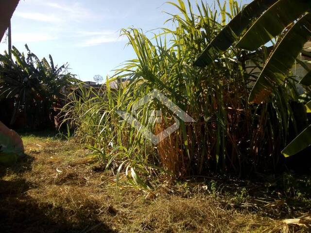 Terreno para Venda em Rio de Janeiro - 4