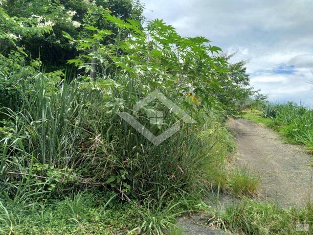 Terreno para Venda em Rio de Janeiro - 5