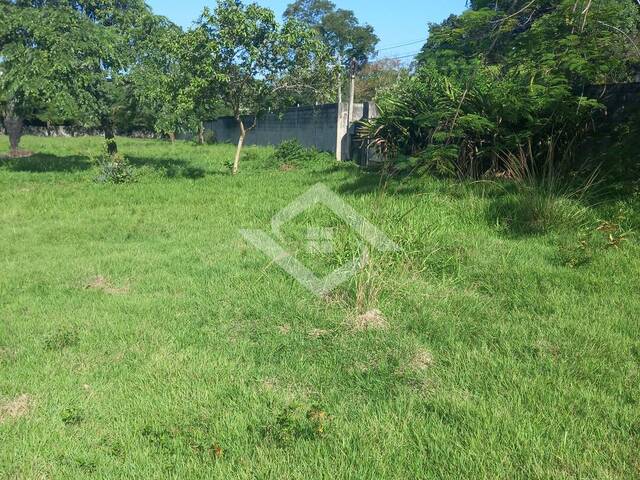 #2582 - Terreno para Venda em Rio de Janeiro - RJ - 3