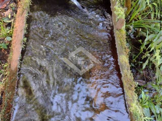 #3787 - Chácara para Venda em Bocaina de Minas - MG - 3