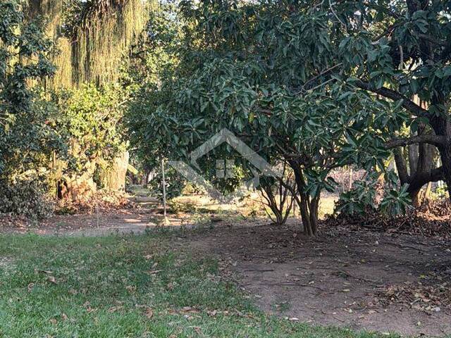 #4691 - Terreno para Venda em Rio de Janeiro - RJ - 3