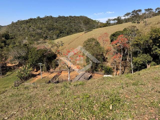 Fazenda para Venda em Engenheiro Paulo de Frontin - 5
