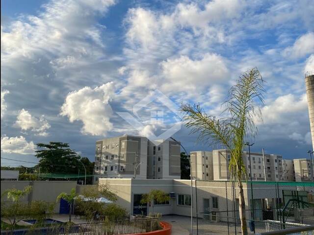 Apartamento de 2 Quartos com 50 m² no Residencial Vitória Régia - foto 3