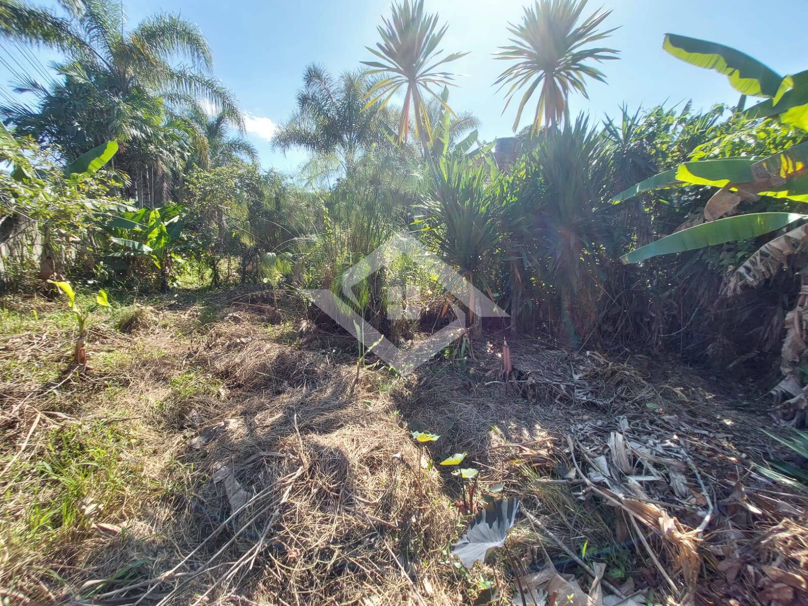 Loja-Salão à venda, 3600m² - Foto 5