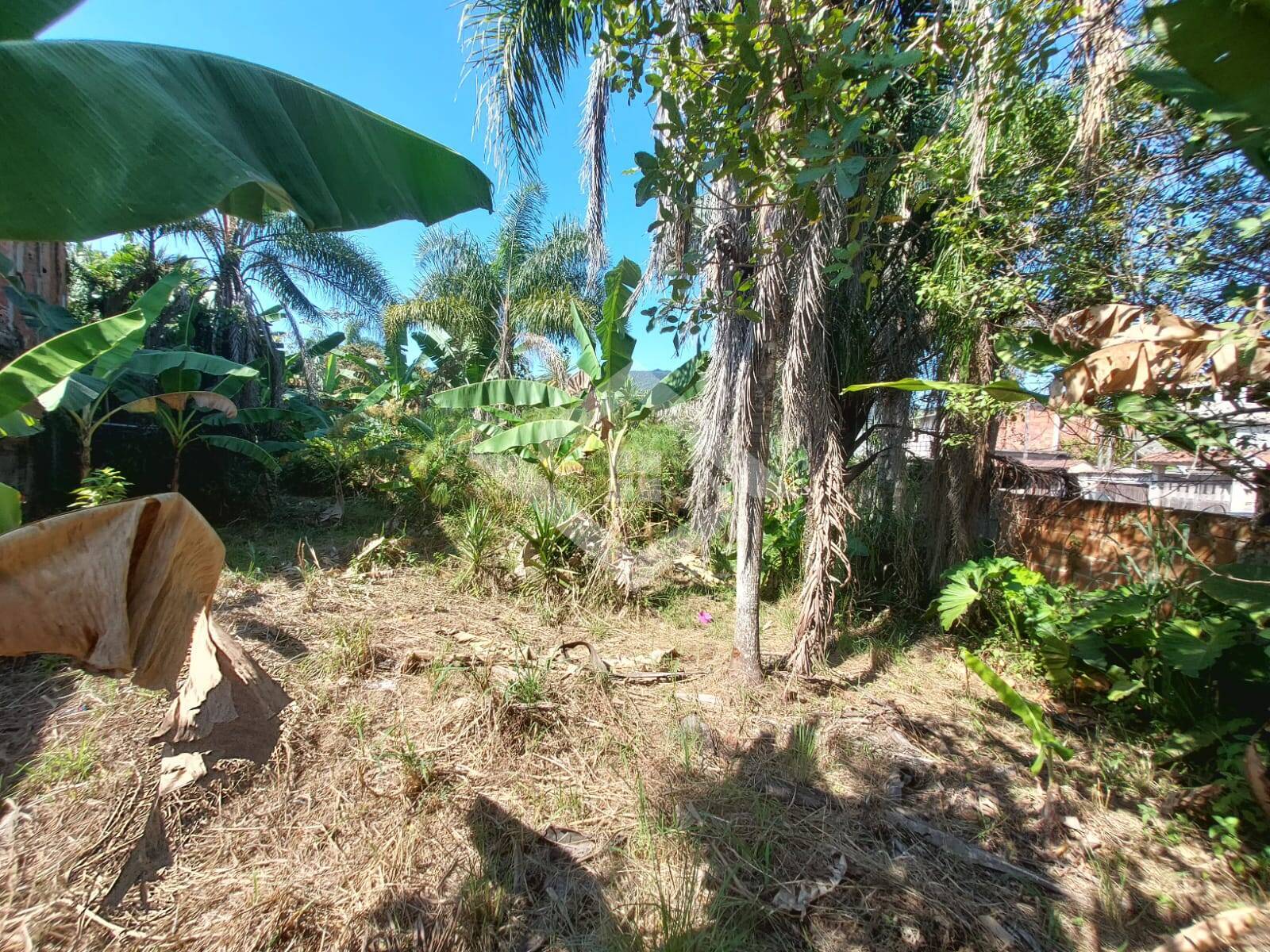 Loja-Salão à venda, 3600m² - Foto 7