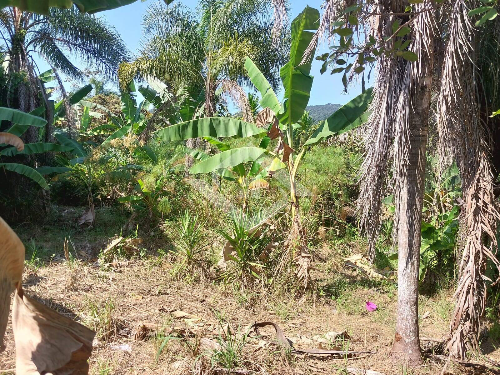 Loja-Salão à venda, 3600m² - Foto 9