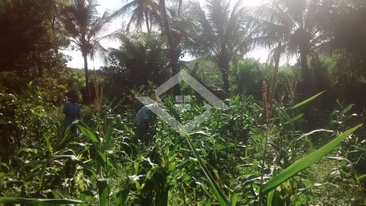Sítio à venda com 2 quartos, 500m² - Foto 3