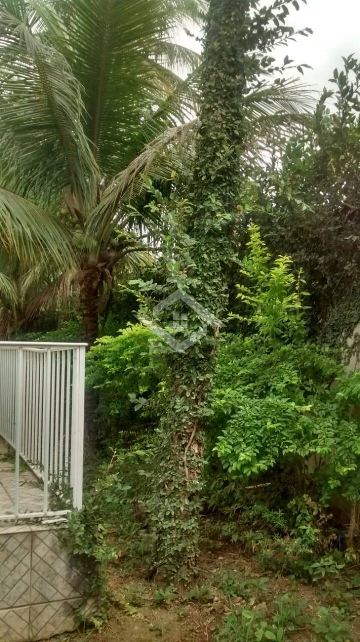 Sítio à venda com 2 quartos, 500m² - Foto 7