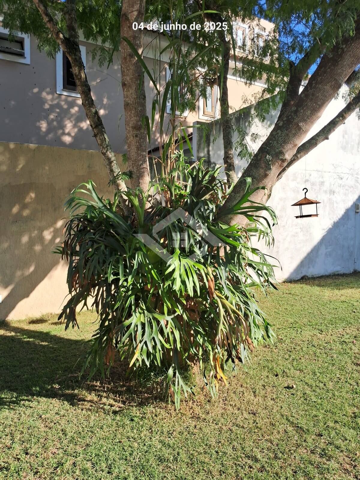 Casa para alugar com 4 quartos, 320m² - Foto 16