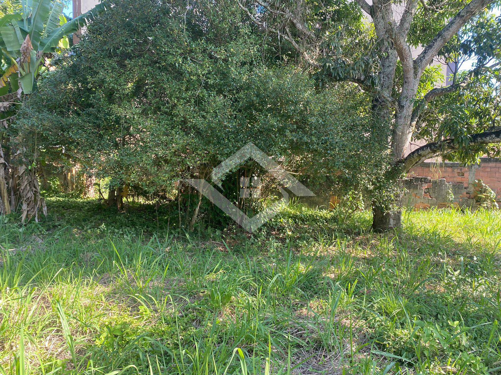 Terreno, 560 m² - Foto 4