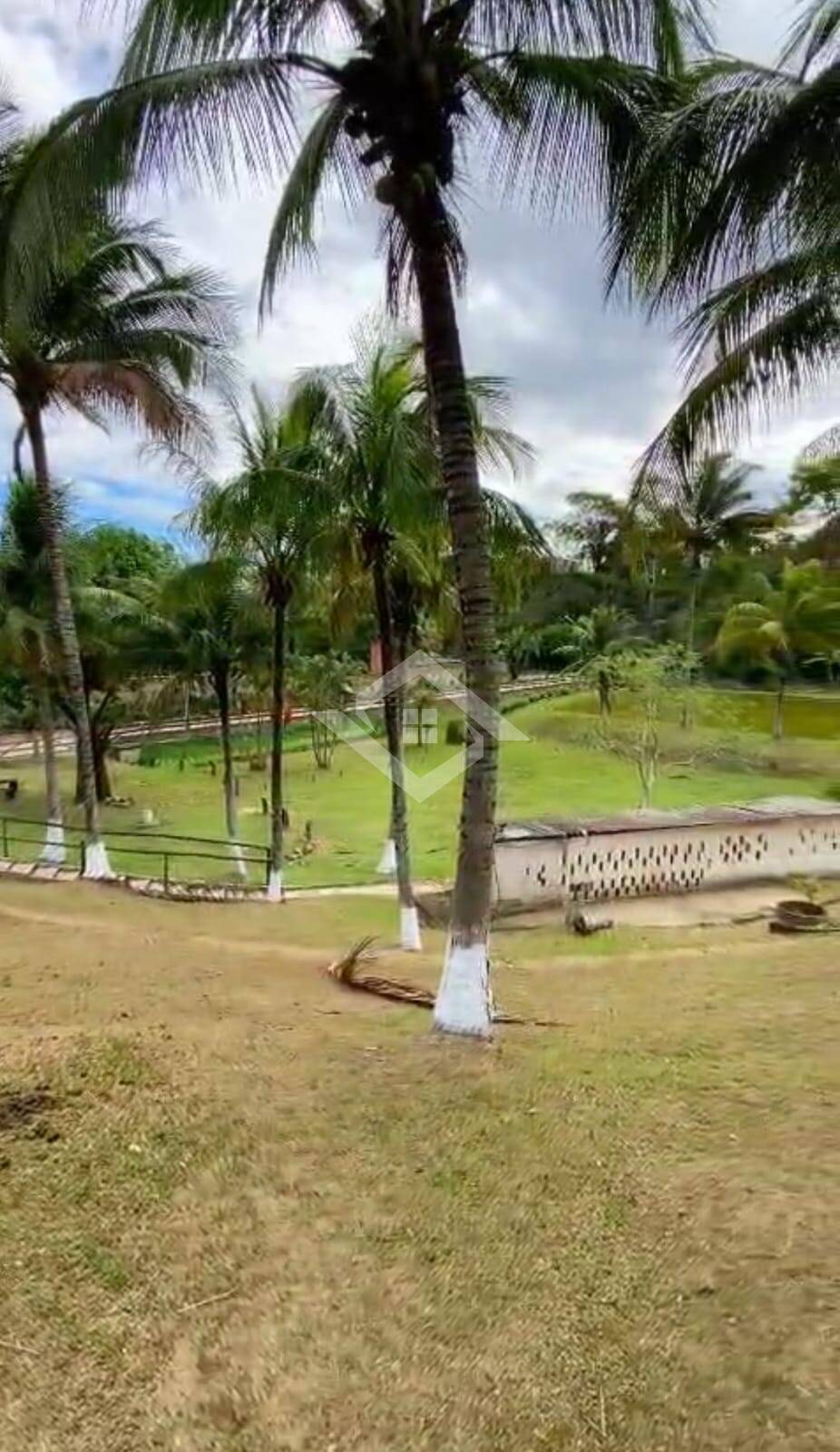 Sítio, 4 quartos, 7 hectares - Foto 4