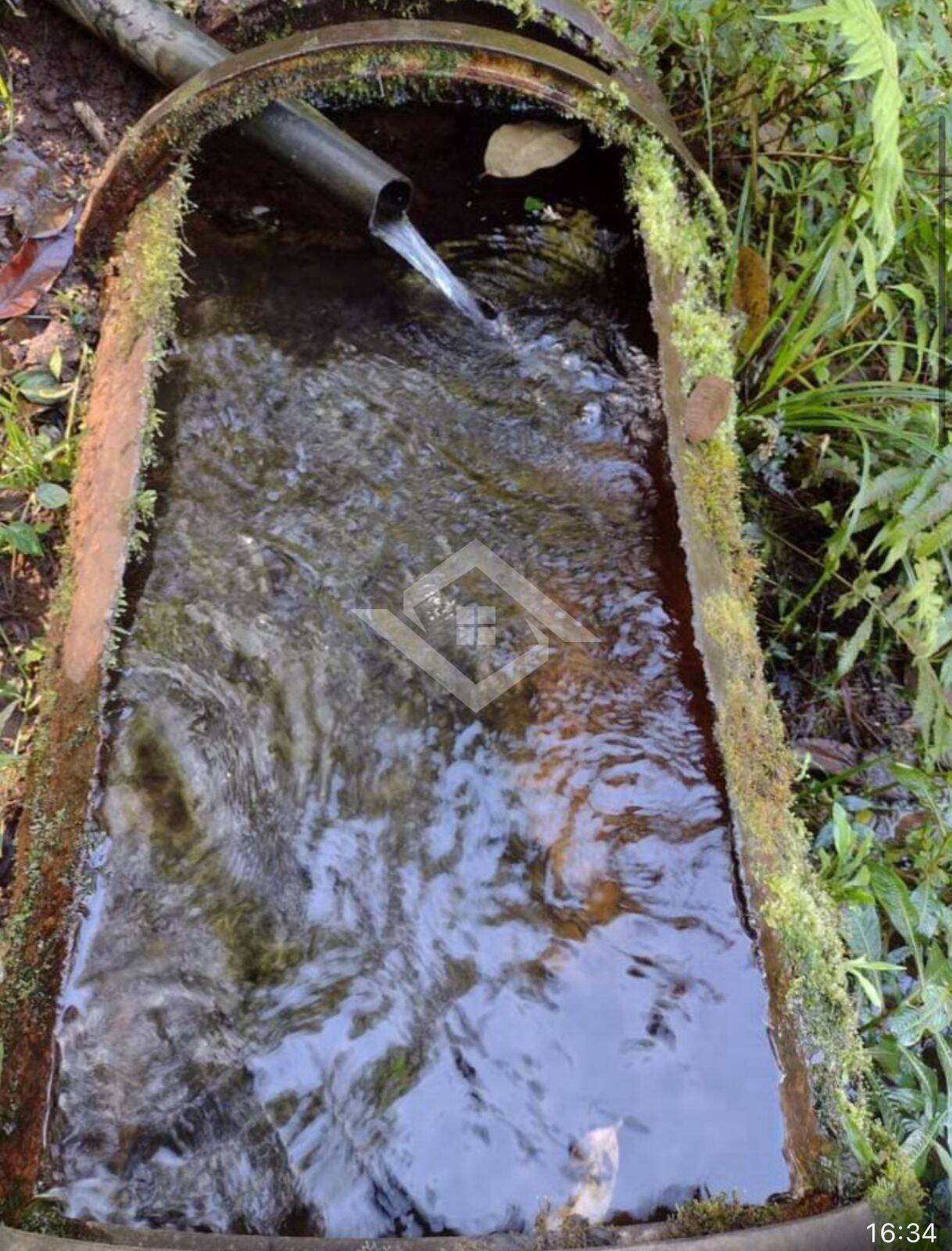 Terreno, 1 hectares - Foto 3