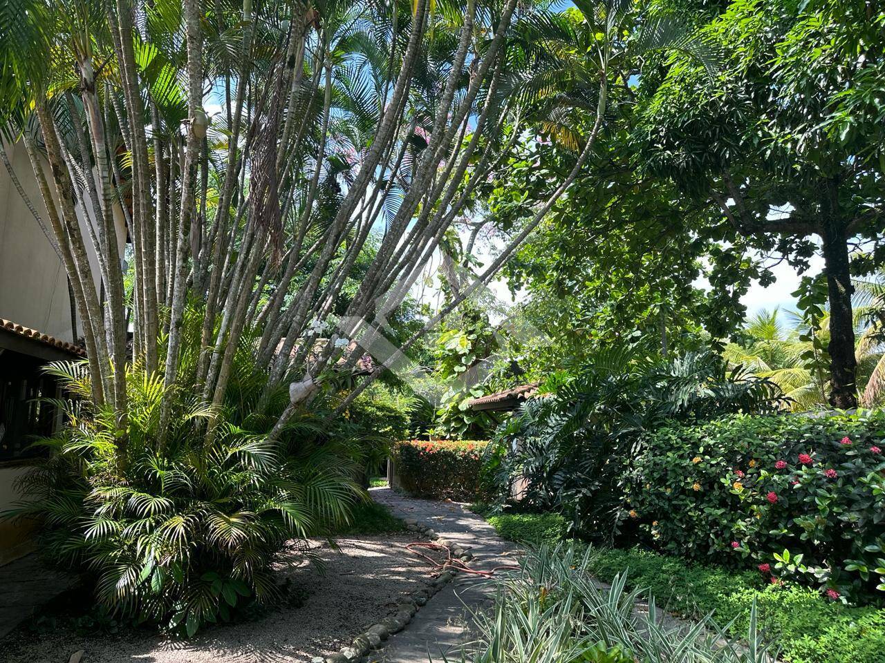 Casa, 4 quartos, 400 m² - Foto 4